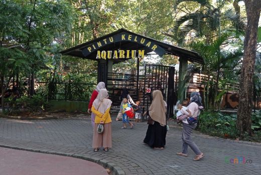 Kebun Binatang Surabaya Bakal Buka Night Zoo, Intip Rutenya - GenPI.co JATIM