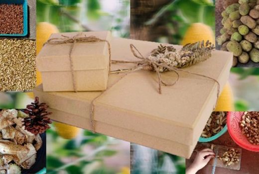 Mahasiswa UPN Sulap Kulit Nangka Jadi Kardus Kece - GenPI.co JOGJA