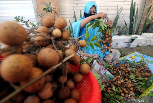 Penderita Diabetes Wajib Makan Buah-buah Ini - GenPI.co JOGJA