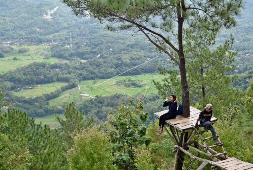 Menikmati Senja dan Musik di Hutan Pinus Becici - GenPI.co JOGJA