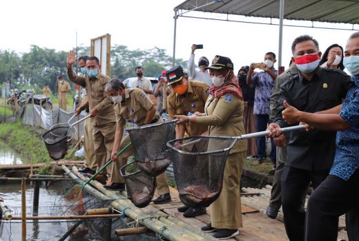 Lebih Efisien, Petani Ikan di Sleman Gunakan Sistem Ini - GenPI.co JOGJA