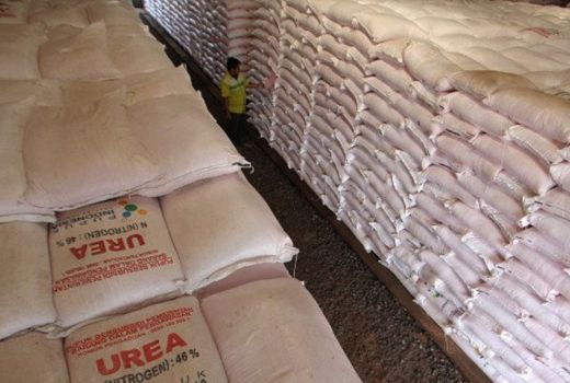 Tingkatkan Produksi Tani, Gunungkidul Digelontor Pupuk Bersubsidi - GenPI.co JOGJA
