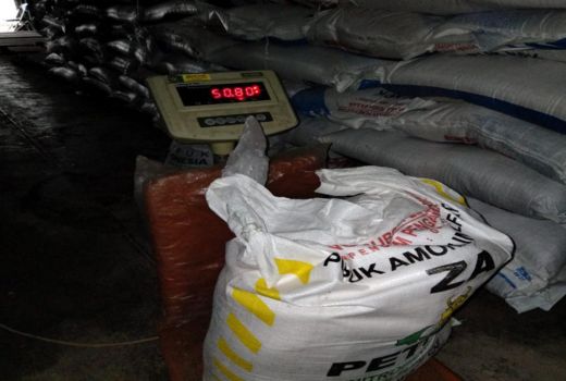 Musim Tanam, Pupuk Bersubsidi di Kulon Progo Dijamin Aman - GenPI.co JOGJA