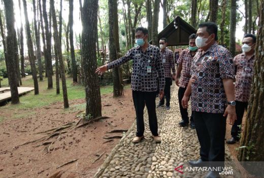 Pinus Mangunan Uji Coba Terima Turis, Sinyal Disebut Tak Stabil - GenPI.co JOGJA