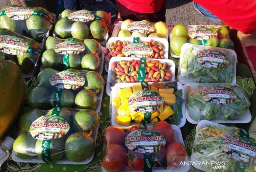 Pulihkan Ekonomi Petani, Kulon Progo Punya Cara Jempolan - GenPI.co JOGJA