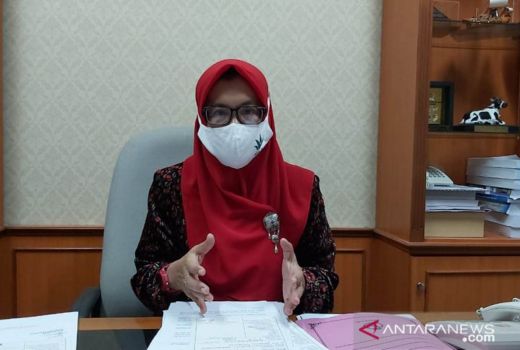DPRD Kulon Progo Desak Peluang Ekonomi Bandara YIA Serius Digarap - GenPI.co JOGJA