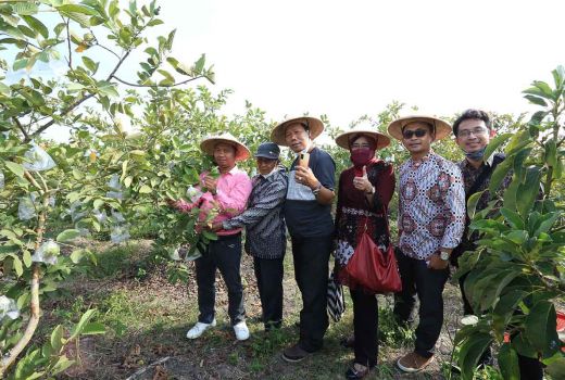 UIN Suka Sulap Lahan Budi Daya Jamur Jadi Kawasan Lebih Produktif - GenPI.co JOGJA