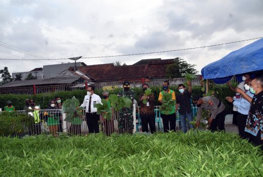 Kembangkan Lahan Kosong, Pemkot Yogyakarta Libatkan Kelompok Tani - GenPI.co JOGJA