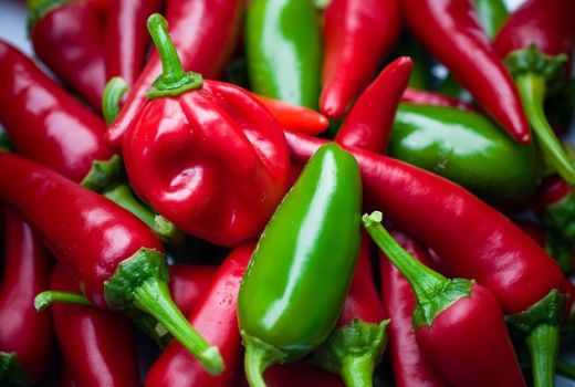 Ini 6 Manfaat Jalapeno, Salah Satu Cabai Terpedas di Dunia - GenPI.co JOGJA