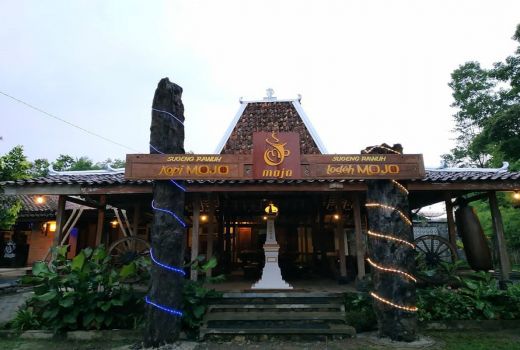 Kedai Mojo, Menikmati Kopi Luwak Khas Perbukitan Menoreh - GenPI.co JOGJA