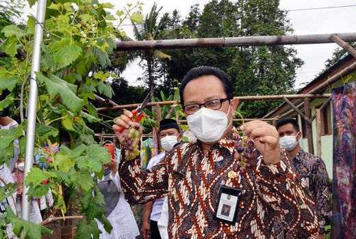 Wawali Yogyakarta Dorong Karang Taruna Kembangkan Lahan Kosong - GenPI.co JOGJA
