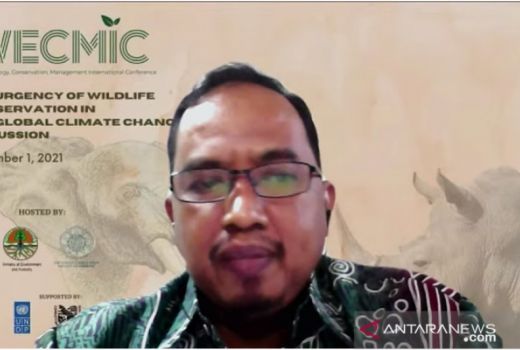 Satwa Liar Terancam Punah, Dekan UGM Dorong Gencarkan Penelitian - GenPI.co JOGJA