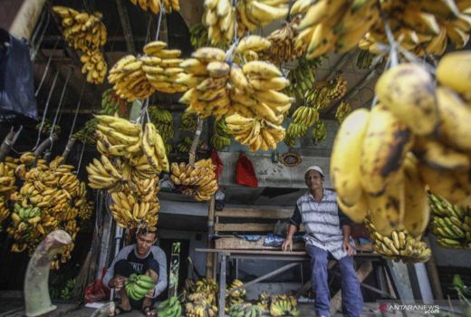 Si Lezat Pisang, punya Khasiat untuk Ibu Hamil - GenPI.co JOGJA