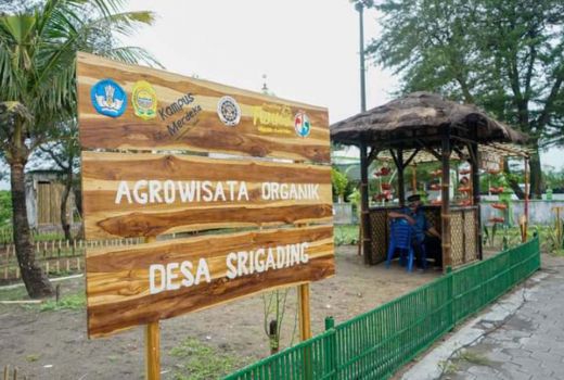 Agrowisata Organik Diharap Kembalikan Eksistensi Pantai Samas - GenPI.co JOGJA