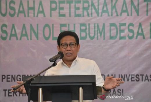 Penuhi Kebutuhan Sapi Nasional, Mendes Buat Program Peternakan - GenPI.co JOGJA