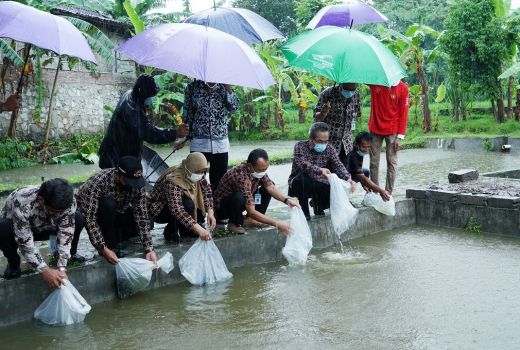 Bupati Bantul Motivasi Warga Kembangkan Perikanan dan Pariwisata - GenPI.co JOGJA