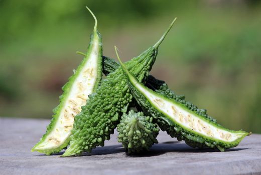 Ini 8 Manfaat Pare untuk Kesehatan, Salah Satunya Obati Herpes - GenPI.co JOGJA