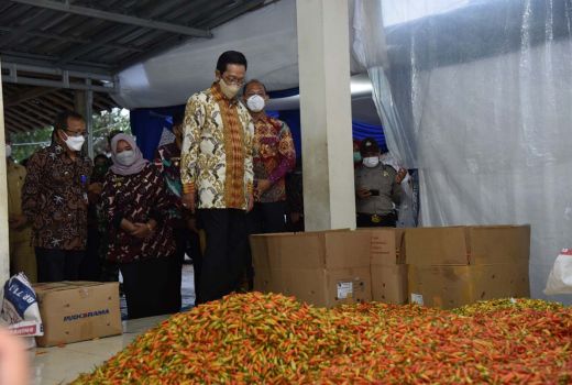Wow, Sleman Bikin Aplikasi untuk Lelang Cabai Panen Petani! - GenPI.co JOGJA