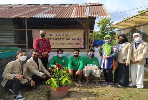 Kece! Mahasiswa UGM Latih Narapidana Ternak Ayam Bahagia - GenPI.co JOGJA