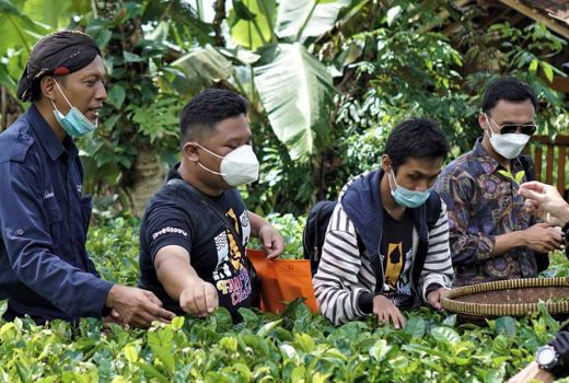 Menuju Wisata Kelas Dunia, Kulon Progo Gelar Fam Trip Difabel - GenPI.co JOGJA