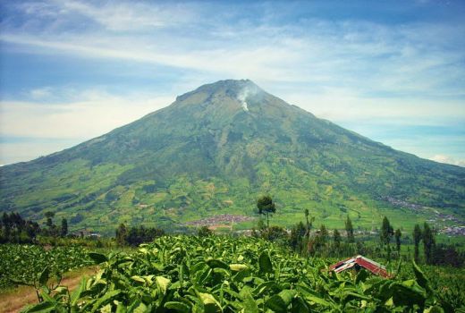 Keren! 4 Mahasiswa UGM Petakan Jalur Pendakian Gunung Sumbing - GenPI.co JOGJA