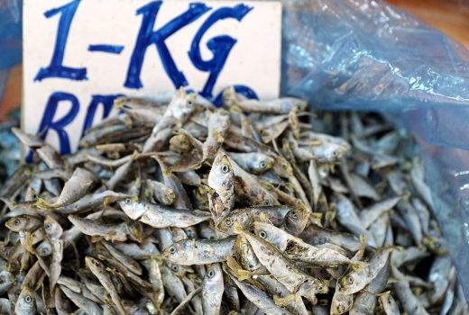 Kamu Doyan Makan Ikan Asin? Nih Manfaat dan Risikonya - GenPI.co JOGJA