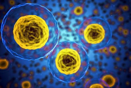 Keren, UGM Gandeng Industri Kembangkan Riset Produk Stemcell - GenPI.co JOGJA