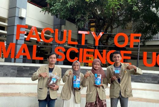 Keren Habis! 4 Mahasiswa UGM Sulap Larva Lalat Jadi Pakan Kucing - GenPI.co JOGJA