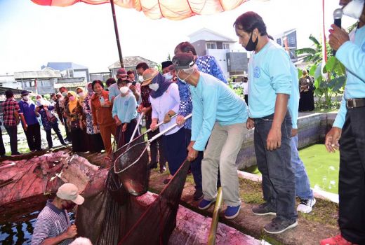 Panen Ikan di Sleman Melimpah, Ini Harapan Bupati - GenPI.co JOGJA