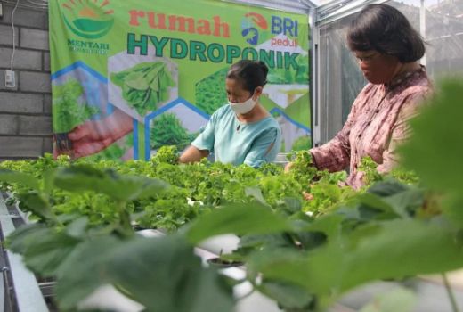 KWT di Sleman Sukses Mengolah Produk Pertanian di Tengah Pandemi - GenPI.co JOGJA