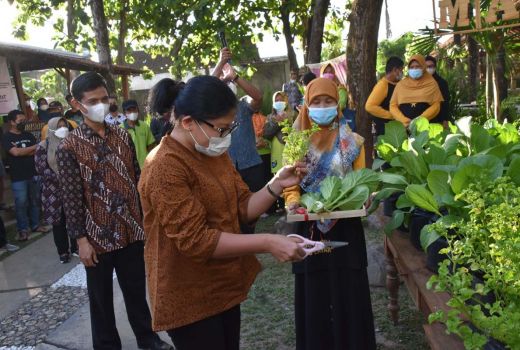 Kece! Petani di Kota Yogyakarta Difasilitasi Platform Digital - GenPI.co JOGJA