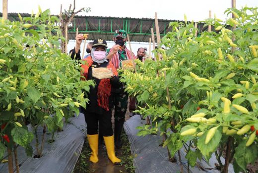 Petani Milenial Sleman Didorong Aktif Kuatkan Ekonomi Daerah - GenPI.co JOGJA