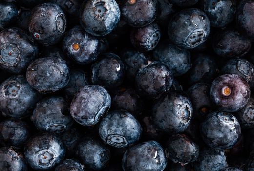Acai Berry, Buah Ajaib Penurun Kolesterol Hingga Obati Kanker - GenPI.co JOGJA