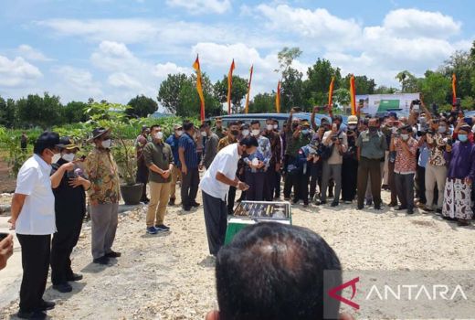 Cukupi Bahan Baku Gamelan, Hutan di Gunungkidul Ditanami Nangka - GenPI.co JOGJA