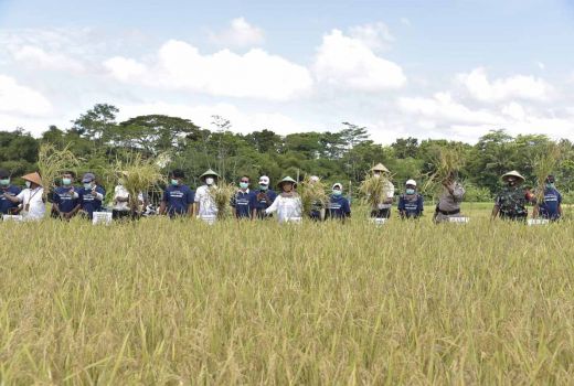 Wujudkan Pertanian Modern, Sleman Terus Bentuk Petani Milenial - GenPI.co JOGJA