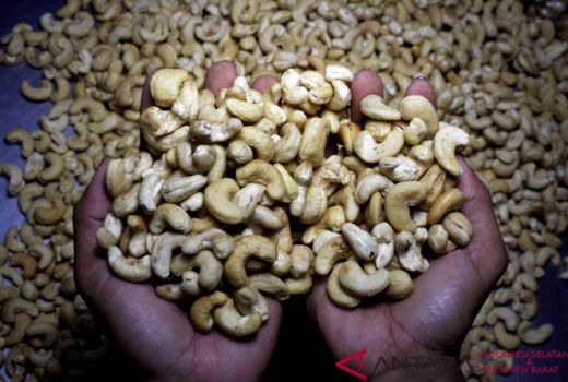 Kacang Mete Kaya Akan Manfaat Kesehatan Tubuh, Intip Yuk - GenPI.co JOGJA