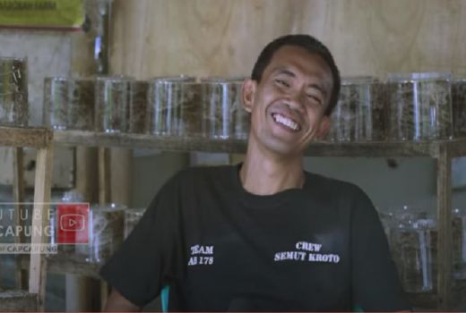 Kena PHK, Widodo Malah Banjir Rezeki dari Ternak Semut di Kampung - GenPI.co JOGJA