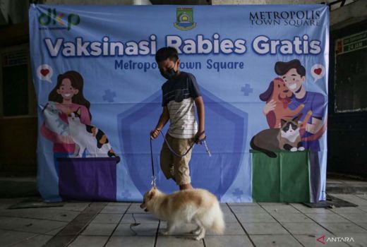 Program Yogyakarta Ini Top, Pemilik Anjing dan Kucing Pasti Suka - GenPI.co JOGJA
