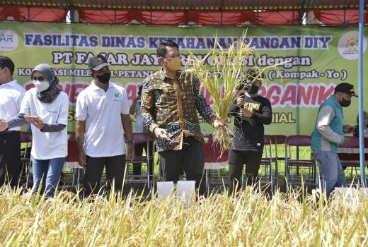 Strategi Sleman Genjot Produktivitas Petani Ini Top, Patut Ditiru - GenPI.co JOGJA