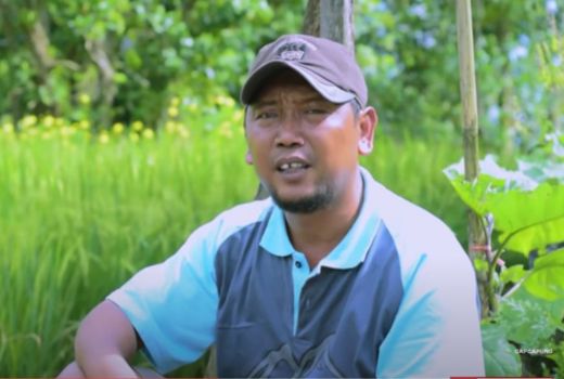 Kisah Petani di Sleman, Gunakan Sistem Mina Padi Untung Berlipat - GenPI.co JOGJA