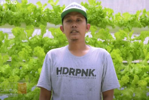 Hobinya Membawa Untung, Bayu Sukses Bisnis Hidroponik - GenPI.co JOGJA