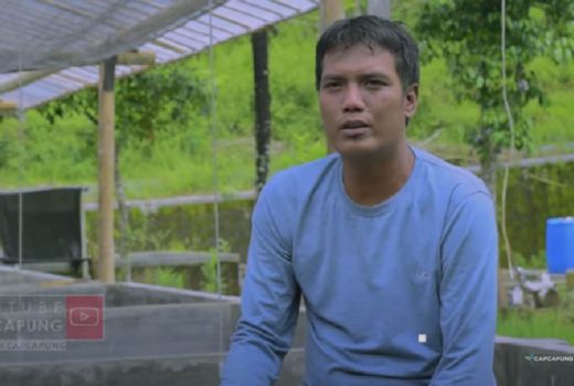 Kisah Sukses Pembibitan Lele di Gunungkidul, Hasilnya Berlipat! - GenPI.co JOGJA