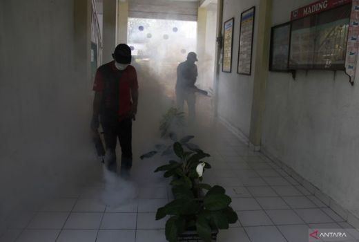 Kasus DBD di Sleman, 1 Pasien Umur 8 Tahun Meninggal Dunia - GenPI.co JOGJA