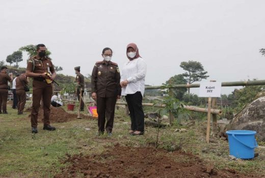 Dikenal Gersang, 5 Ribu Bibit Pohon Ditanam di Prambanan Sleman - GenPI.co JOGJA