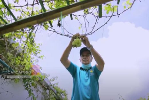 Keren! Warga di Yogyakarta Sulap Gang Kampung Jadi Kebun Anggur - GenPI.co JOGJA