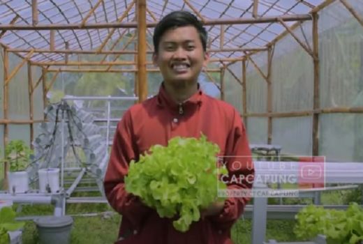 Keren! Mahasiswa di Yogyakarta Ini Sukses Jadi Petani Hidroponik - GenPI.co JOGJA