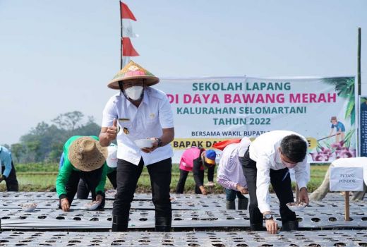 Bicara Soal Pangan, Ini Pesan Wabup Sleman ke Petani Bawang - GenPI.co JOGJA