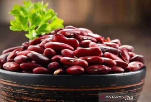 Kacang Merah Khasiatnya Ajaib, Ibu Hamil Pasti Suka - GenPI.co JOGJA