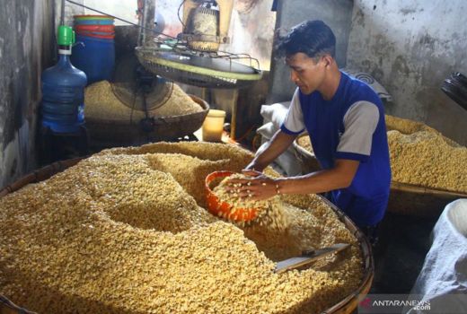 Minyak Kedelai Kaya Gizi! Nih Deretan Khasiat untuk Kesehatannya - GenPI.co JOGJA