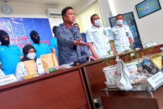 Diduga Menyemai Ganja di Kamar Tidur, Pria di Sleman Dicokok - GenPI.co JOGJA